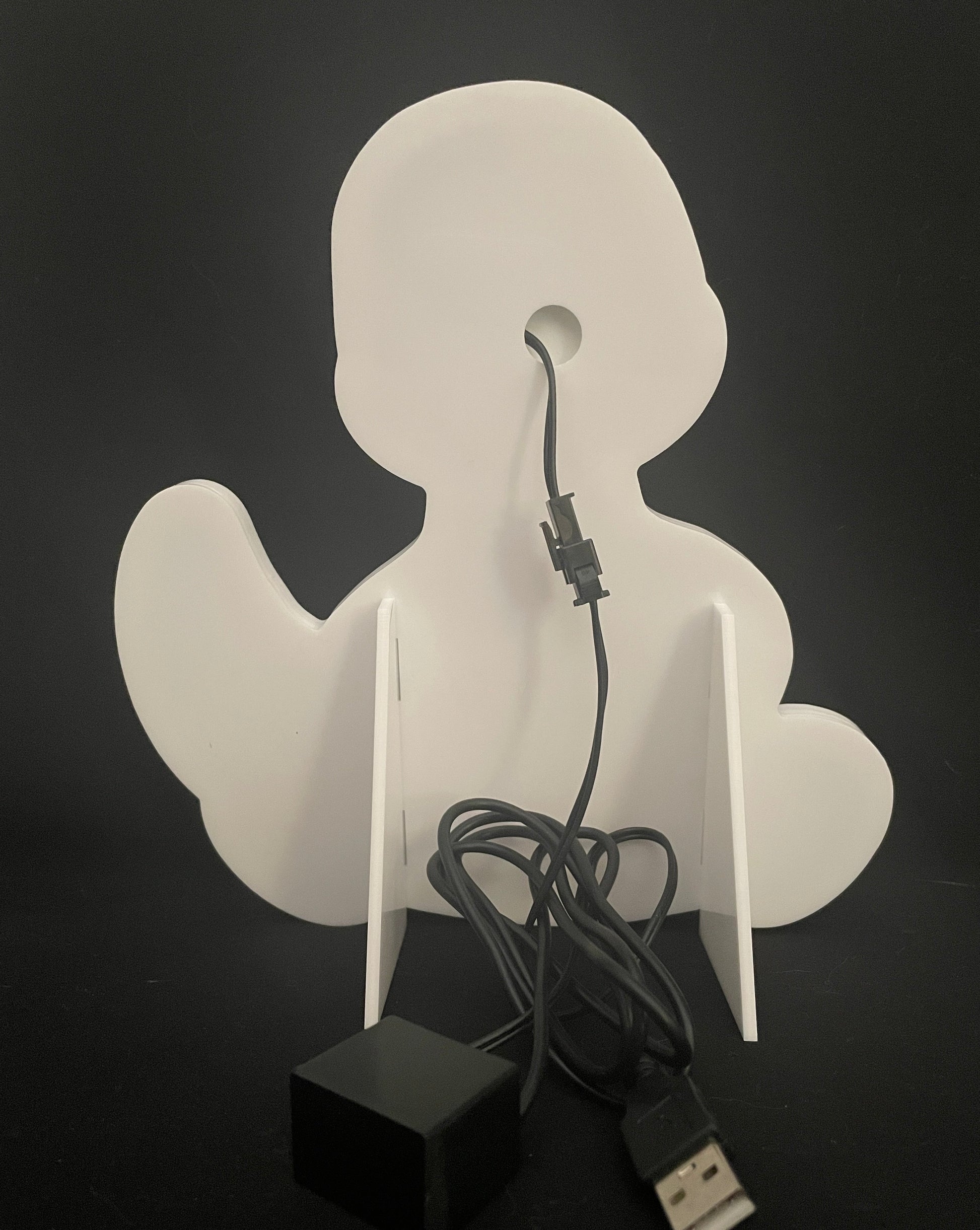 Baby dinosaur neon light with a USB lead
