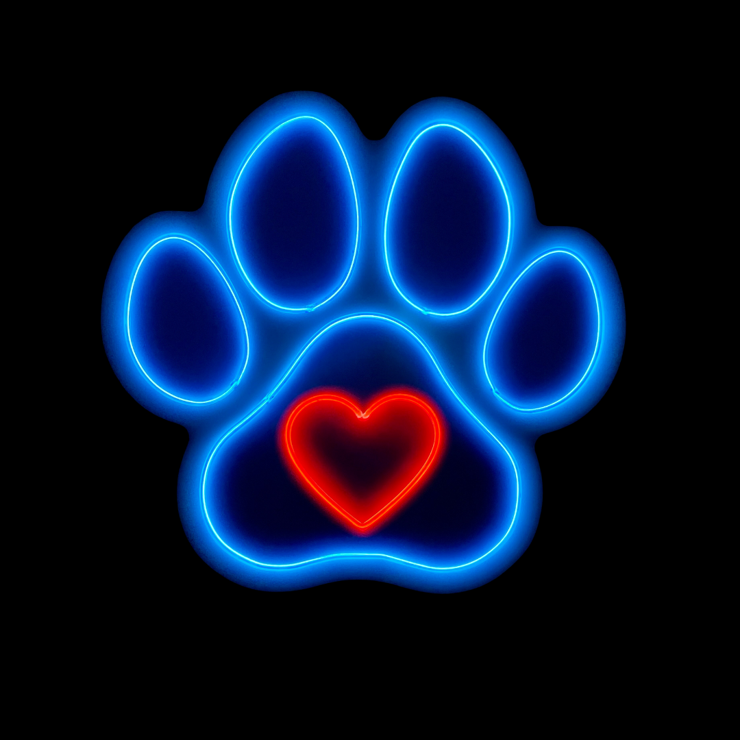 Blue paw print with a red heart in the centre neon light